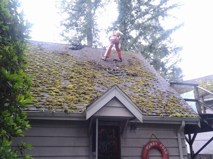 Softwash Roof Cleaning & Moss Removal