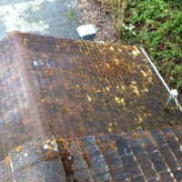 Before Roof Washing Everett WA
