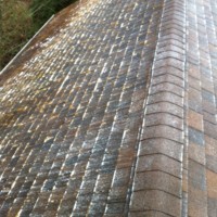 Before Roof Cleaning WA Everett