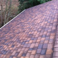 After Roof Cleaning WA Everett