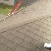 Roof Pressure Washing Before