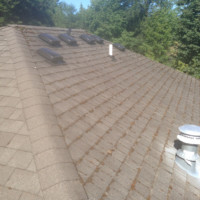 Roof Pressure Washing Everett WA - Before