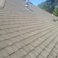 Roof Soft Washing WA After