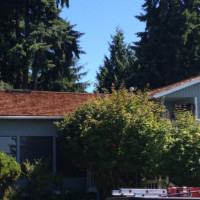 Pressure Roof Cleaning Everett WA