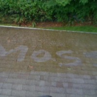 Professional-pressure-Washing Roof Cleaning Everett WA