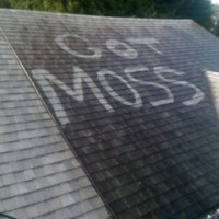Roof Pressure Washing Everett WA Before