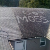 Roof Pressure Washing Everett WA